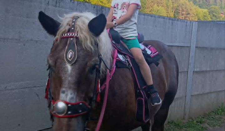 Posedenie občanov jún 2026